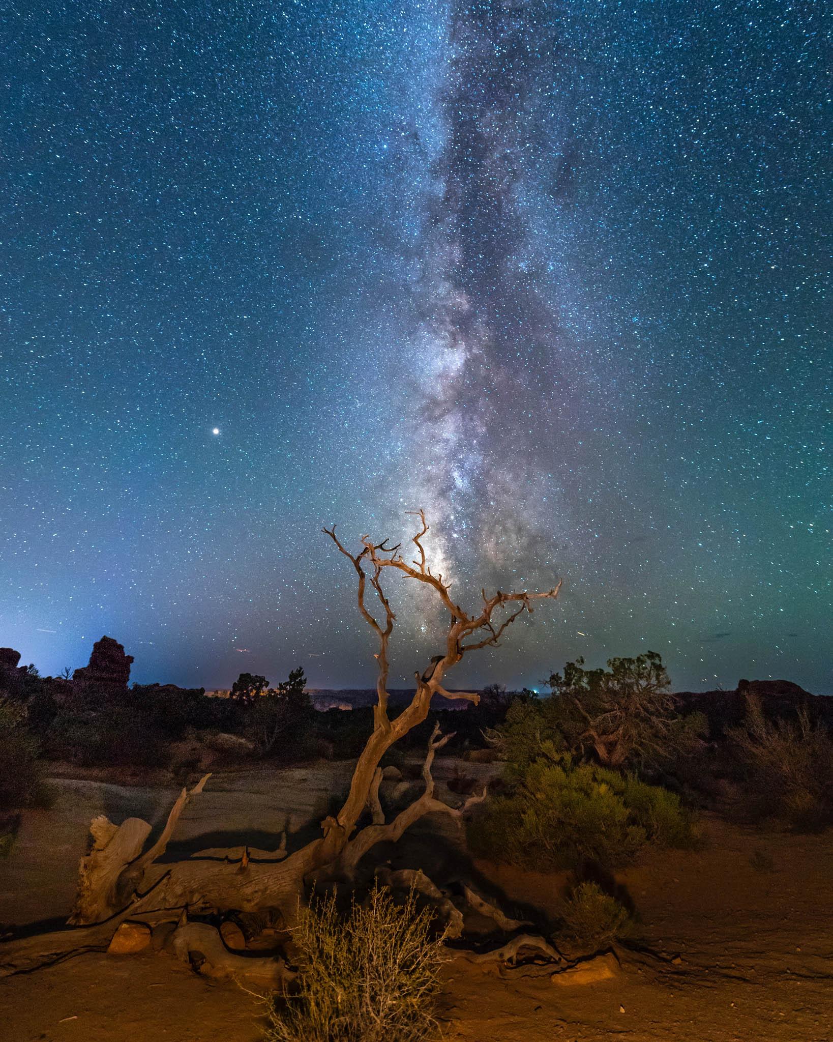 a night sky with stars and a tree in the foreground