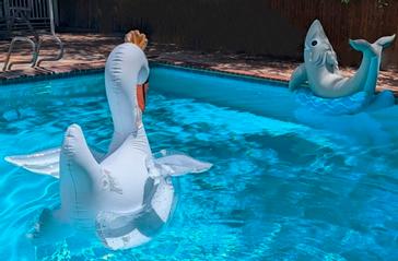 River Canyon Lodge | Moab (Utah) | Photos 12